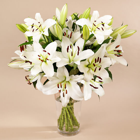 Weiße Lilie: majestätisches Lilienarrangement Luzern